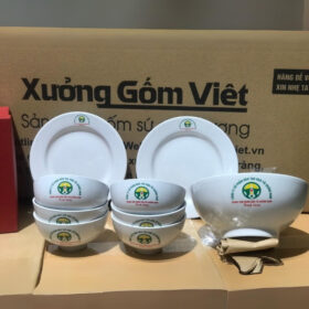 Bộ bát đĩa 10 món in logo Công Ty Đào Tạo Vận Tải tại Quảng Nam màu trắng XG-BD13