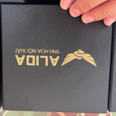 coc-su-bat-trang-in-logo-alida-tinh-hoa-noi-that-dang-tru-mau-den-quai-trai-tim (5)